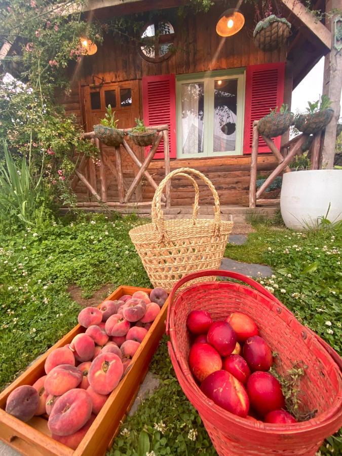 Meena Bagh Ratnari- An Apple Orchard Bungalow Bagi Esterno foto