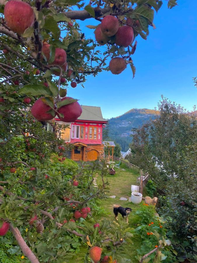 Meena Bagh Ratnari- An Apple Orchard Bungalow Bagi Esterno foto