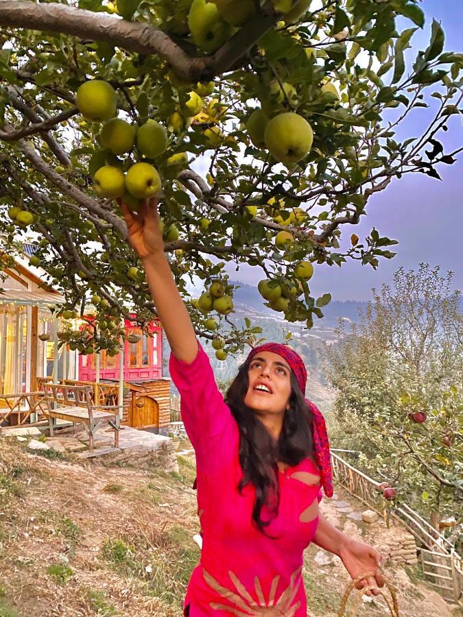 Meena Bagh Ratnari- An Apple Orchard Bungalow Bagi Esterno foto