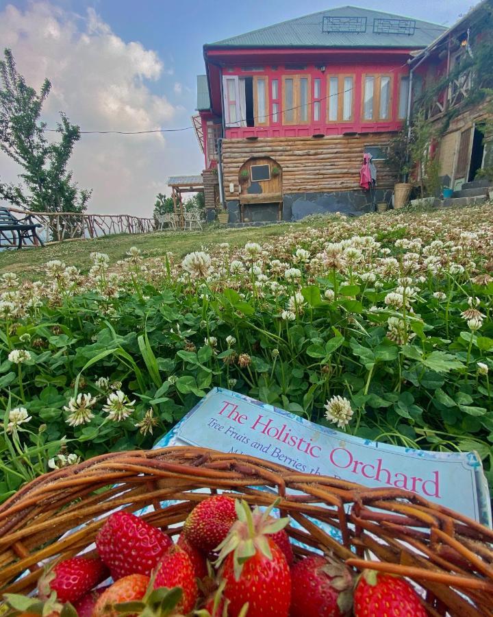 Meena Bagh Ratnari- An Apple Orchard Bungalow Bagi Esterno foto