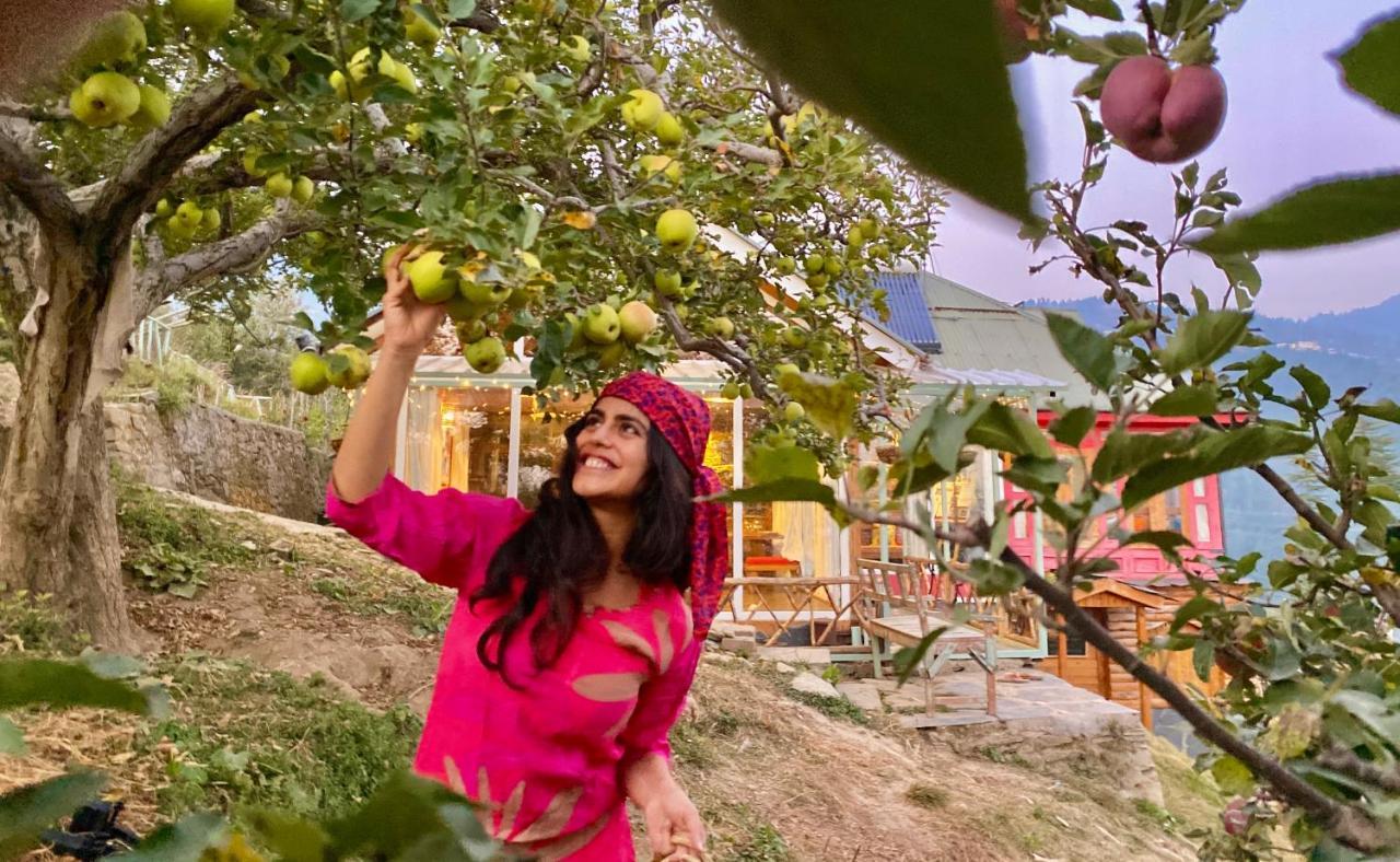 Meena Bagh Ratnari- An Apple Orchard Bungalow Bagi Esterno foto